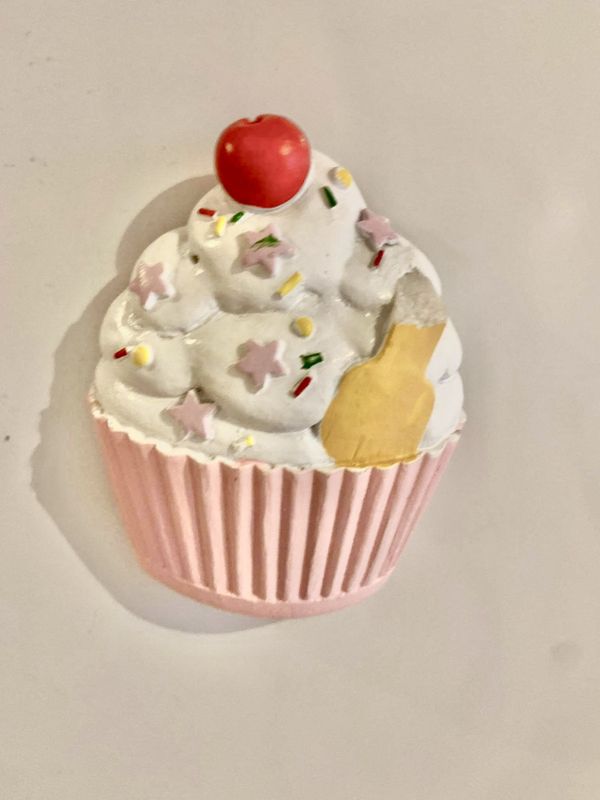 Sweet cupcake magnets